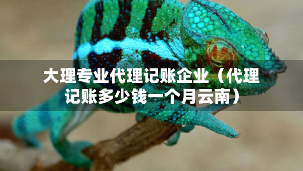 大理專業(yè)代理記賬企業(yè)（代理記賬多少錢一個月云南）