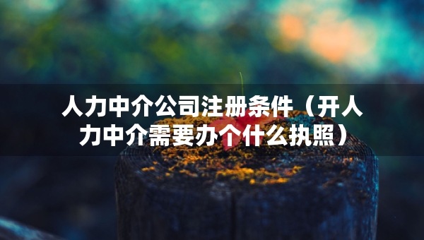 人力中介公司注冊條件（開人力中介需要辦個(gè)什么執(zhí)照）